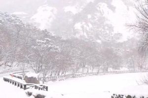 大雪2025年05月27日可以动土吗