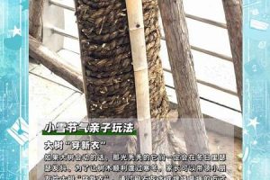 小雪2025年05月27日可以动土吗