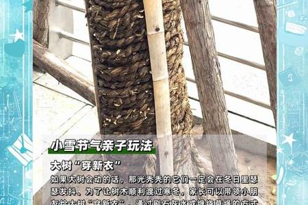 小雪2025年05月27日可以动土吗