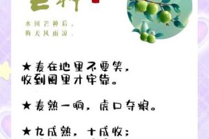 芒种2025年05月27日适合结婚吗