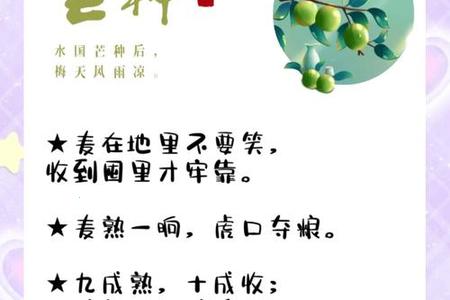 芒种2025年05月27日适合结婚吗