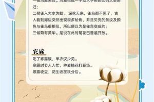 寒露2025年05月28日怎样适合婚姻