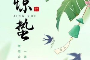 惊蛰2025年05月27日可以做什么