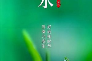 雨水2025年06月04日彭祖百忌是哪些