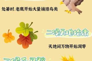 处暑2025年06月09日解析每个时辰的吉凶