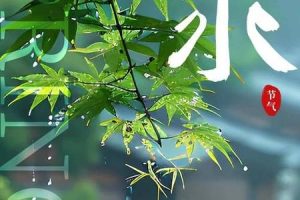 雨水2025年06月03日彭祖百忌是哪些