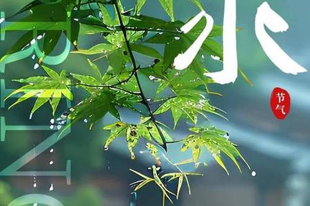 雨水2025年06月03日彭祖百忌是哪些