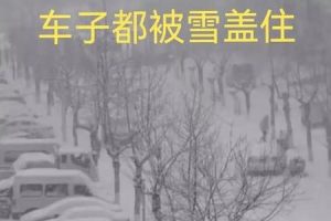 大雪2025年06月09日分析星神